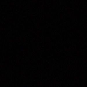 Meet your Posher, Bobby